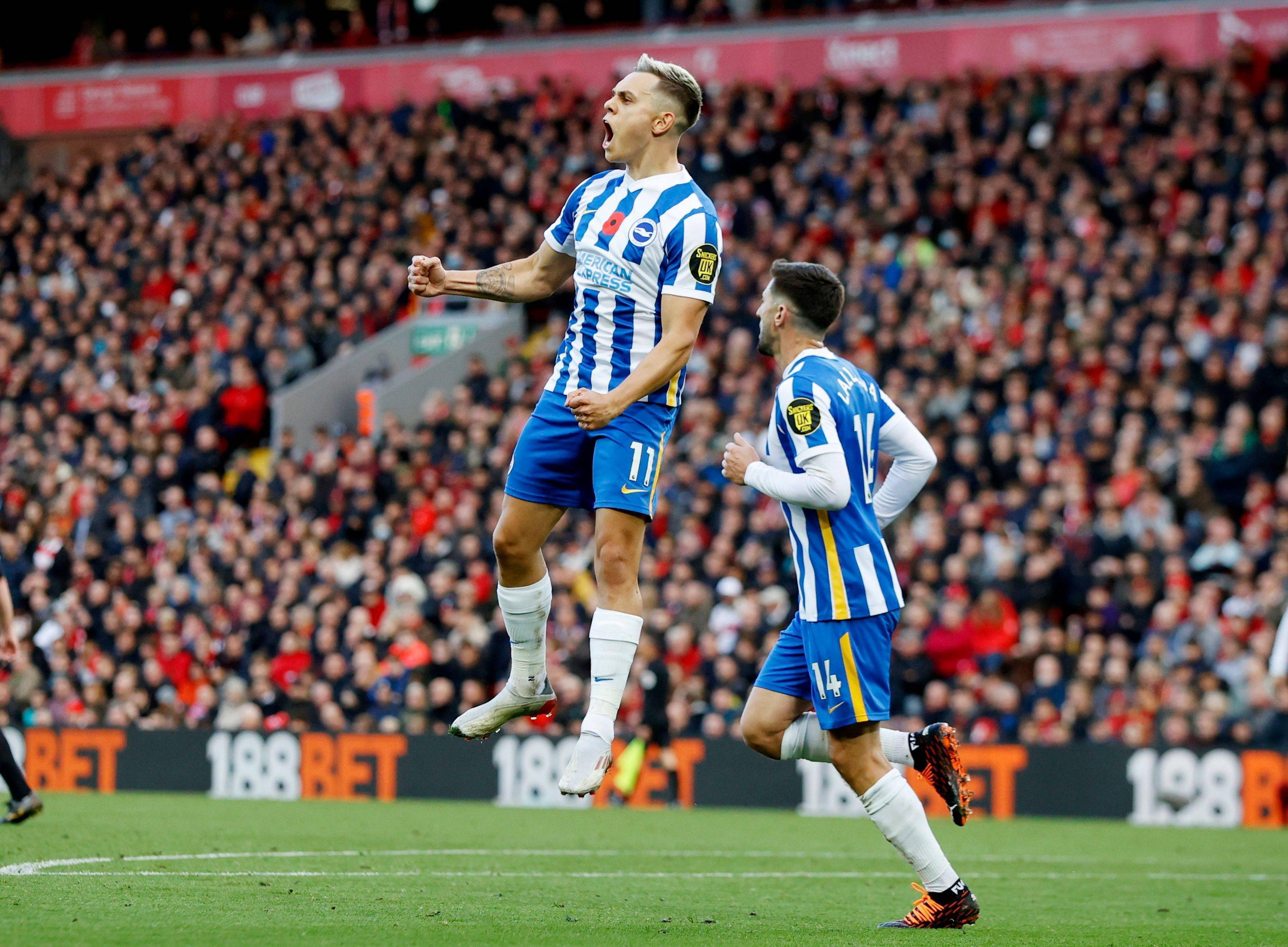 尤其是在面 尤其是在面